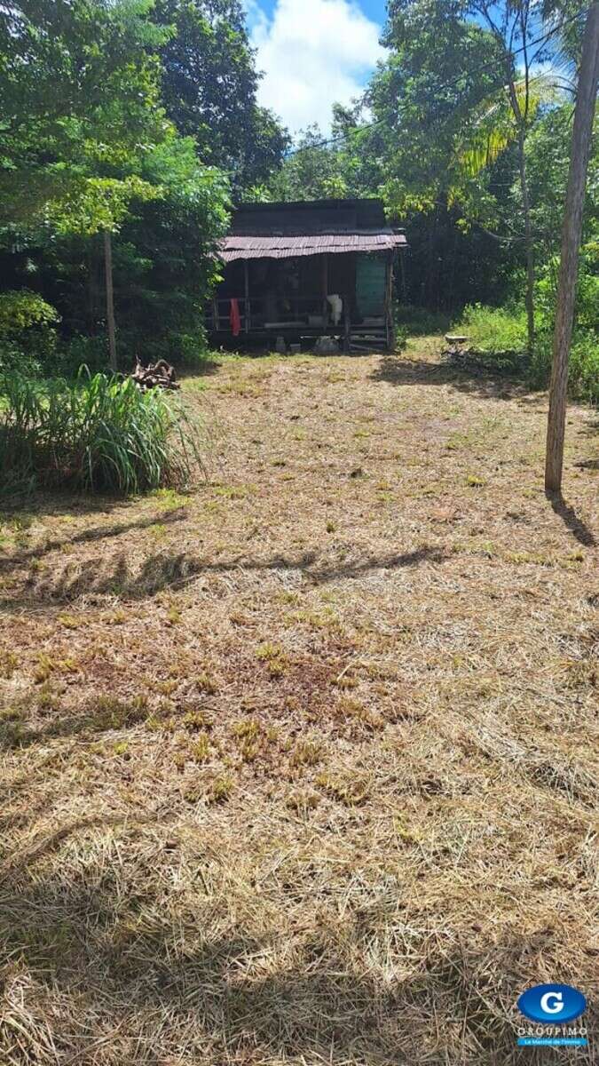 Grand terrain de 2 hectares