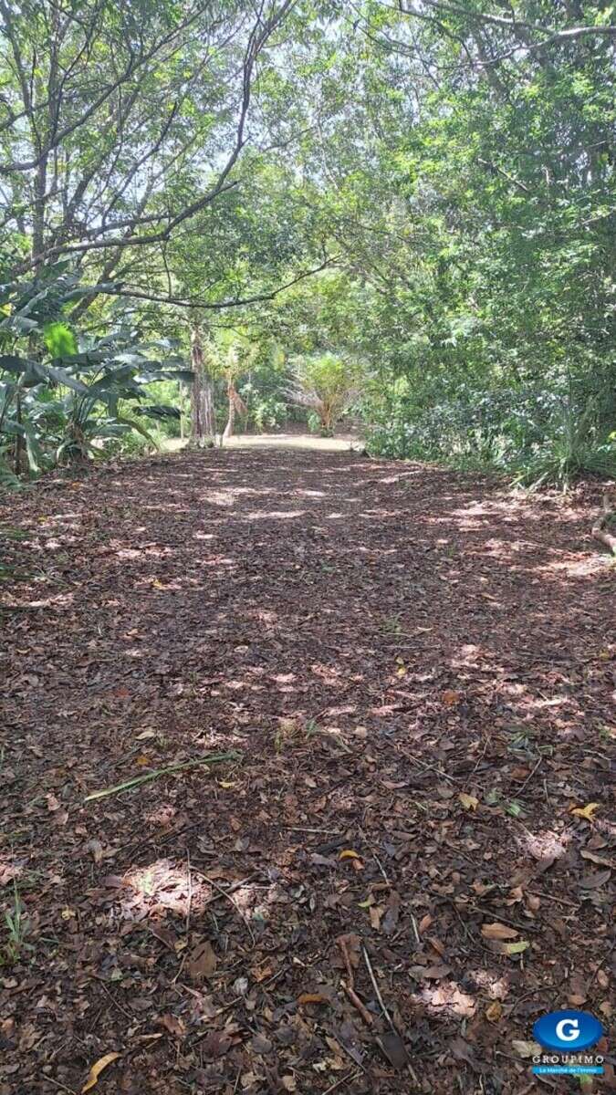 Grand terrain de 2 hectares