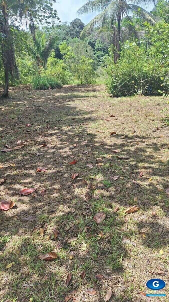 Grand terrain de 2 hectares