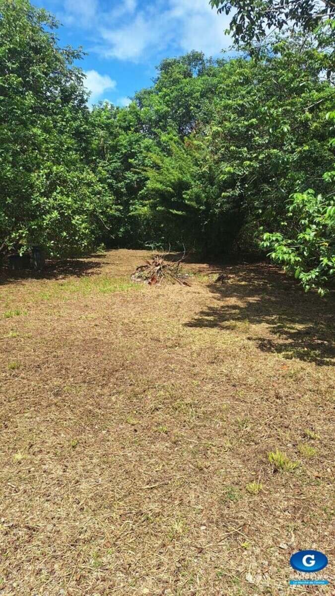 Grand terrain de 2 hectares