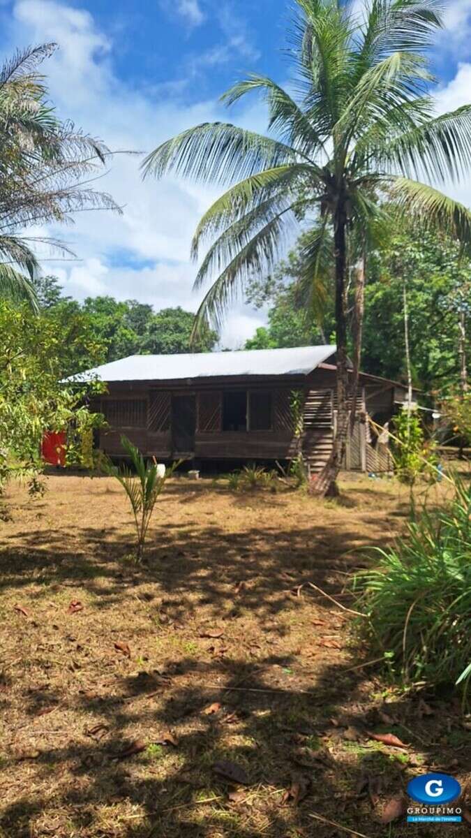 Grand terrain de 2 hectares
