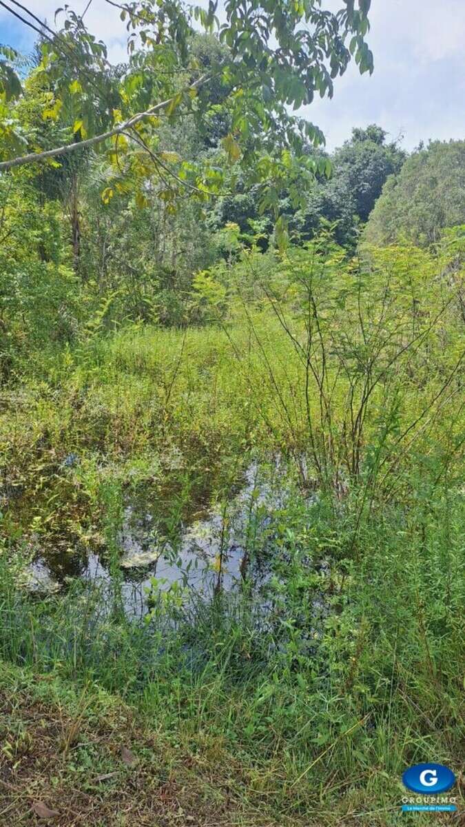 Grand terrain de 2 hectares