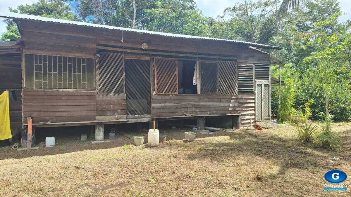 Grand terrain de 2 hectares